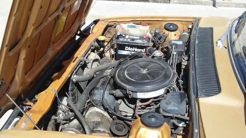 Illustration for article titled Used Car Face Off: Typically Small Cars Of 1981